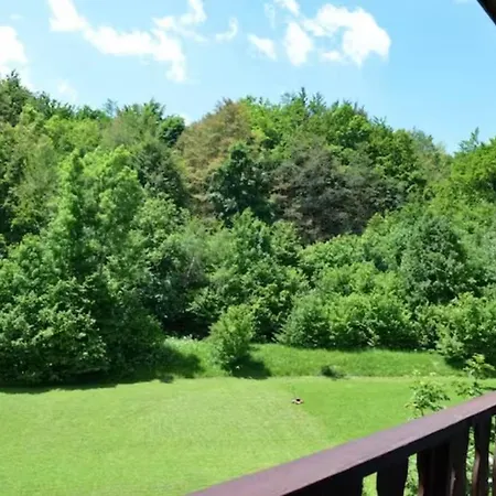 Дом отдыха Polane *