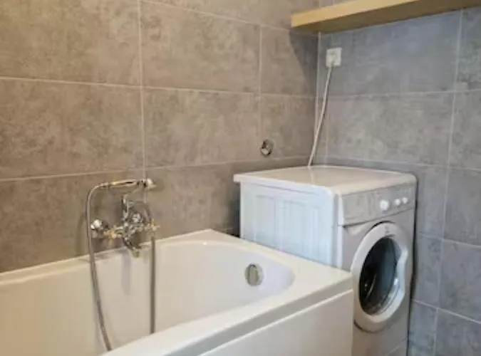 Polane * ديلنايس